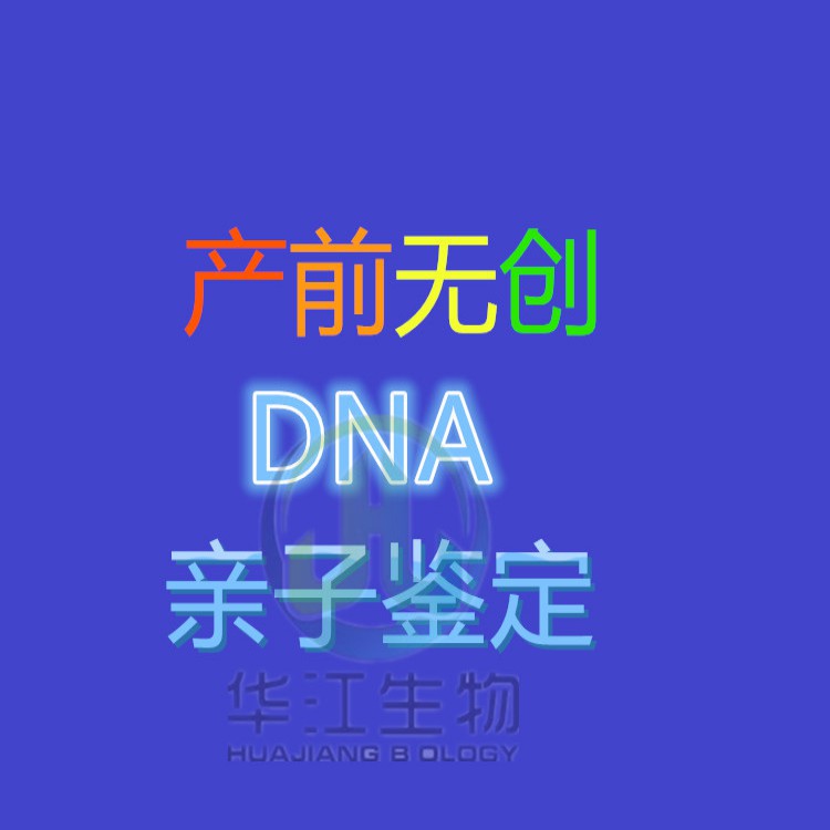 dna是主要的遗传物质教学反思『详情』探索DNA：遗传物质的奥秘与教学反思