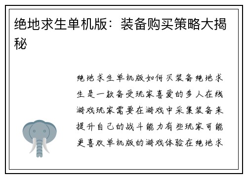 绝地求生单机版：装备购买策略大揭秘